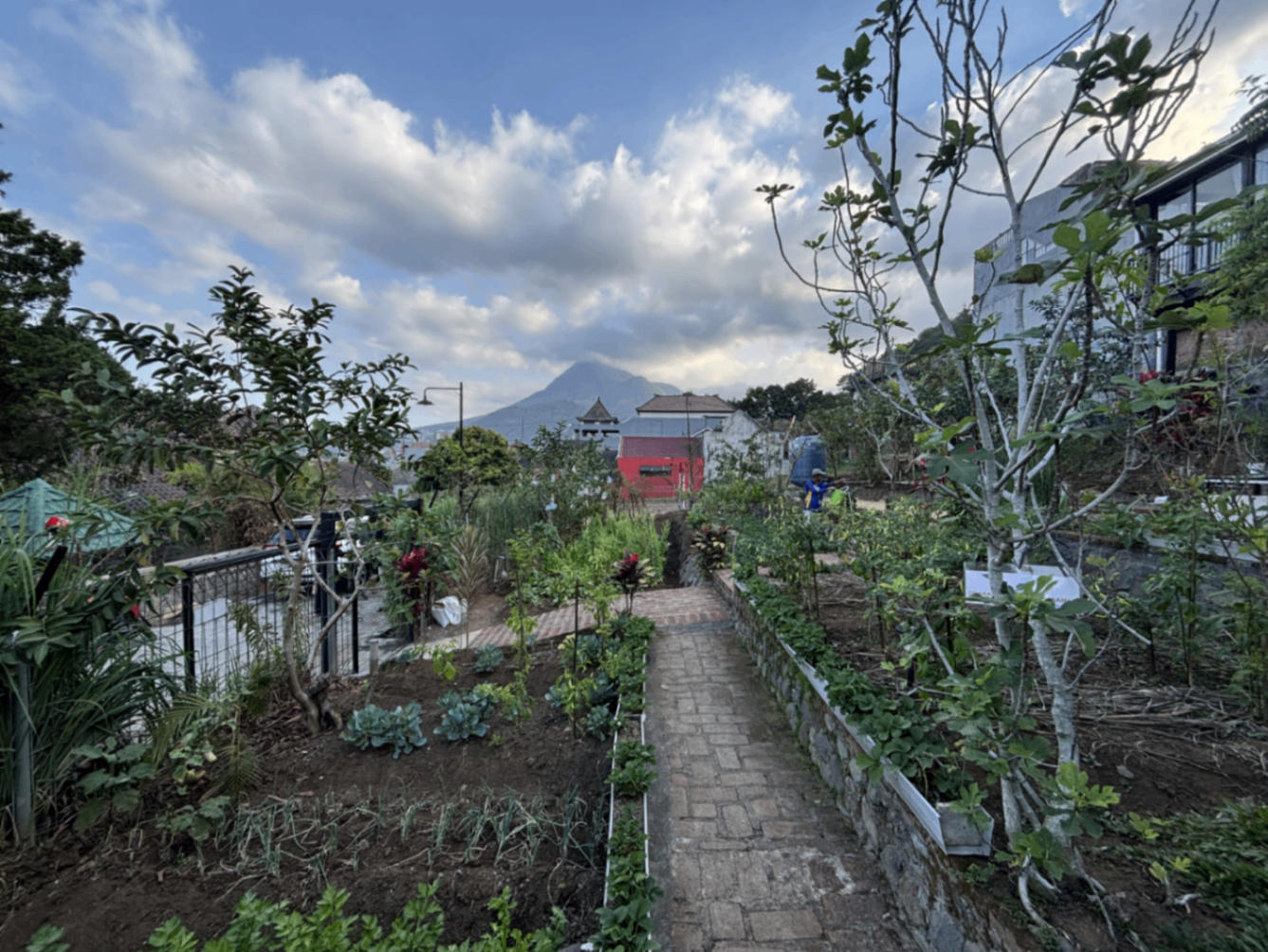 kebun